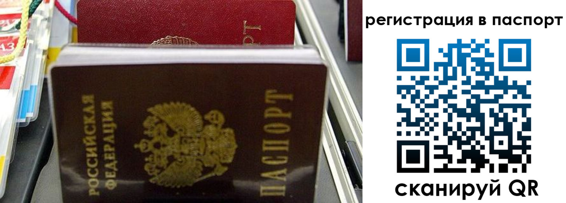 прописка для школы в Сергиевом Посаде